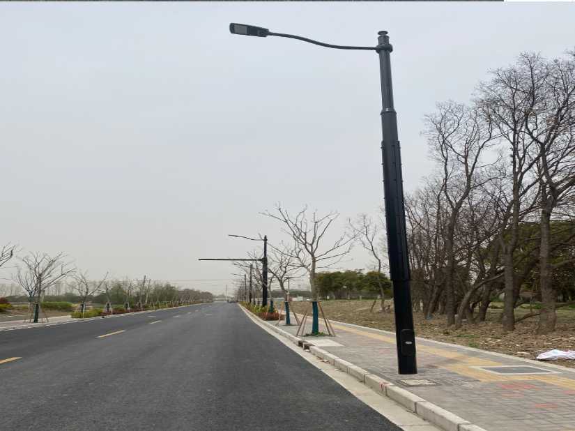 奉新县上海综合杆 太阳能路灯工程